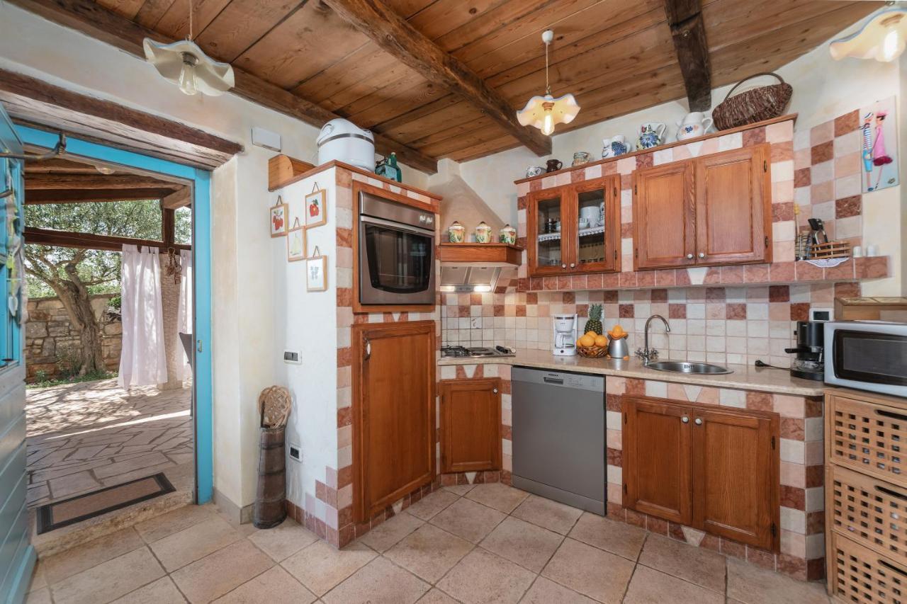 Villa Janko Sveti Lovreč Pazenatički Exterior foto